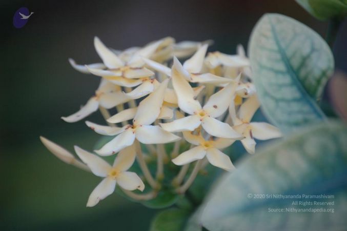 20061109 Photo 1092 1QDyiIV367d3QS7yHYmdGYiX deyeaKDW.JPG