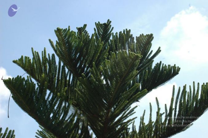 20061109 Photo 1110 1gGKCdlY9ymD380JbdueiIoKSwyRcgH13.JPG