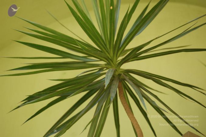 20061109 Photo 1119 1jOmI0Ok8TP0nwkxWsjS8jNOMyH -hUVT.JPG