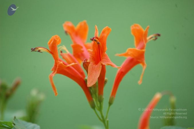 20061109 Photo 1125 1WzQLMHKaMl35ypp3pkZIVFHybVxQ0MIU.JPG