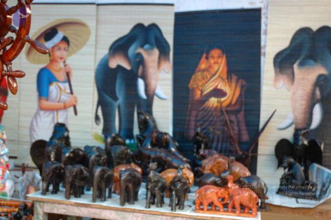 20061109 Photo 1198 1Ae3dx6WiyWOrVcMBDEuqzi24-PxVstTU.JPG