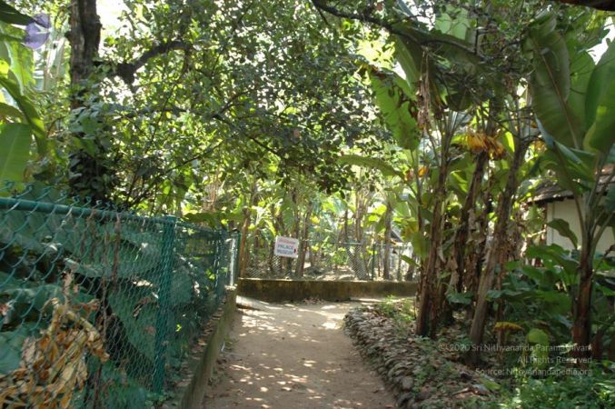 20061109 Photo 1250 1VUl4E5-FwkWwmzGmK1hyyvi8vbIXHBFU.JPG