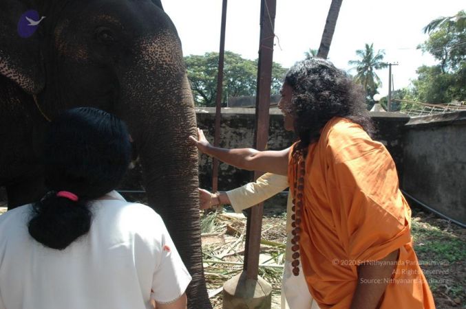 20061109 Photo 1382 1440ctJM0MSuLZJCucIK396D1jhCsD5bw.JPG