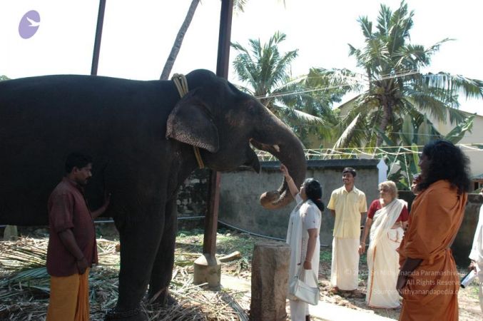 20061109 Photo 1390 1PSUh 2pysDlk1IsgEJvWYk3yYTg-5LWa.JPG