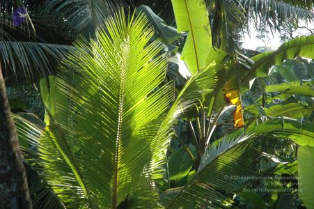 20061110 Photo 15 1D-CzodngfCPGKo8ayc5RuMloptDTOL8H.jpg