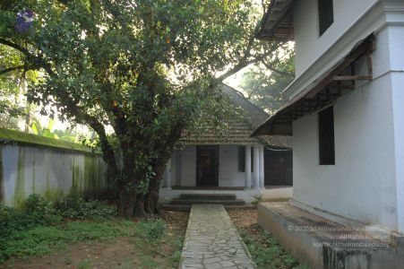 20061110 Photo 17 1LEPR0wq3JbuJebueomsAvDA7g6 U sV3.jpg