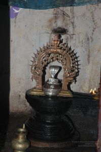 20061110 Photo 19 1 80qFUzCoFdFMRVTlQqMY9xCJ6KwnF4C.jpg