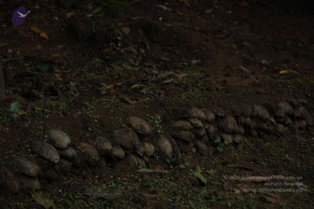 20061110 Photo 26 1HCO2b710kPd7L baICXtOmZZClKcV3G .jpg