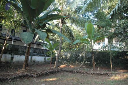 20061110 Photo 27 1hbphs56jUU6ch3s4EkCiI4DAtNvXA8 v.jpg