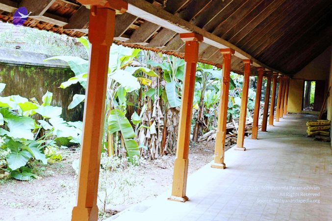 20061110 Photo 633 1vhIdBokPVn2KgosWvo7lxy9IRJuyvopB.jpg