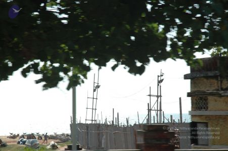 20061110 Photo 65 1KA2P1cA0 DBiZxx4JqcxRyMv8e0lftTA.jpg