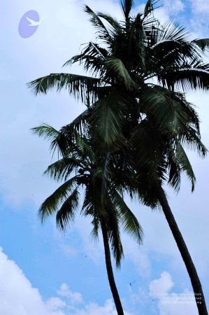 20061110 Photo 668 1UeteyKofBtJwQlBdPiY9qcZmYnBr3Ax1.jpg