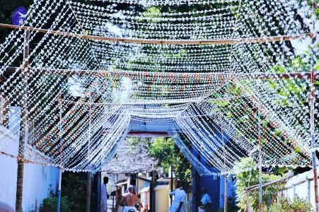 20061110 Photo 796 1QgPl 653eLa7AmVUnKts7cDD1mr45xrZ.jpg