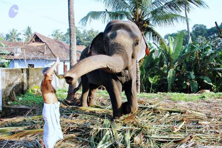 20061110 Photo 905 1SGqBvnTW KmXkqNDICrWRC-jqAGti-si.jpg