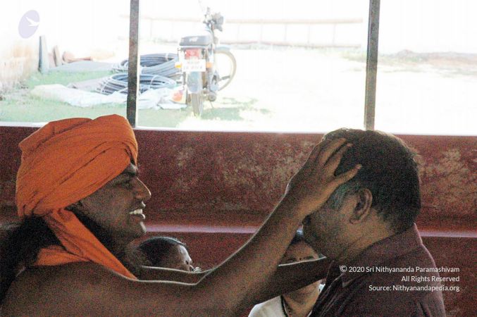 20061119 DSC 1073 CMP WM01.jpg