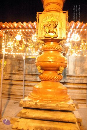 20061123 DSC 5276 CMP WM01.jpg