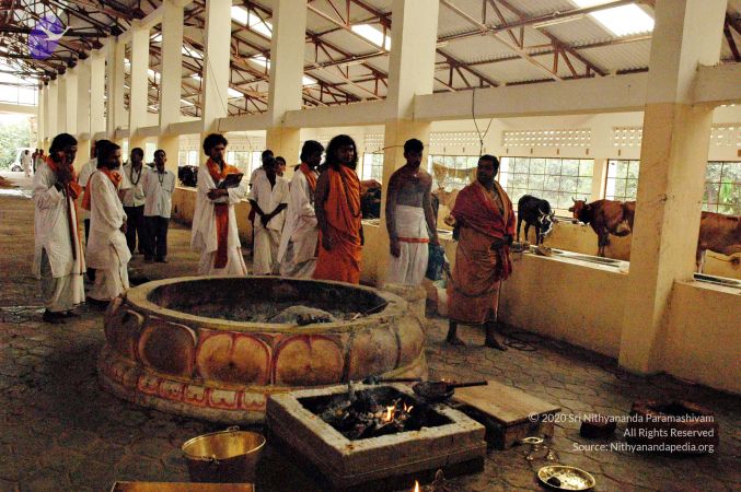 20061127 Photo 104 1LM-ZfoHew5AuFjy1X40RgWERU3yLQRkL.jpg