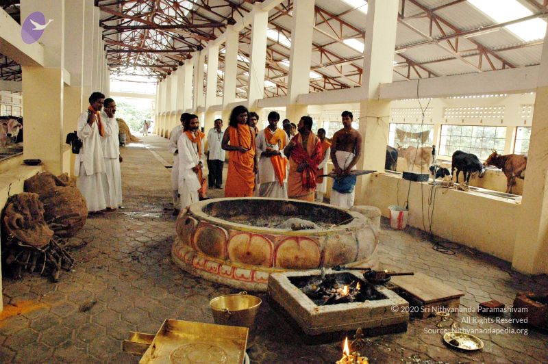 File:20061127 Photo 106 1j0EUtazZ70lmrOCRSl192FQtKuqHFmEB.jpg