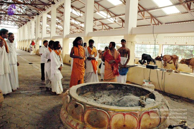 20061127 Photo 107 1ITaynPG0ndHdyPFV9X SFjb7mxfcIBhA.jpg