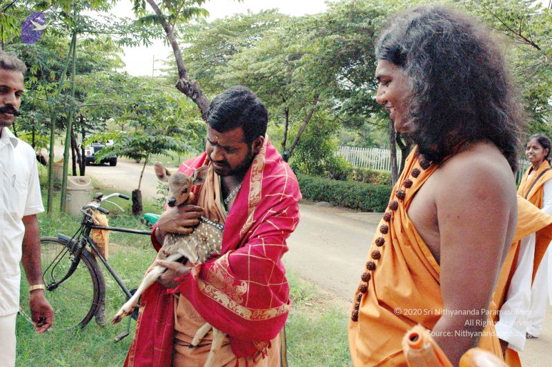 File:20061127 Photo 11 13YU5ik8FKy NeMj lRRxxz-hx4rWRkXt.jpg