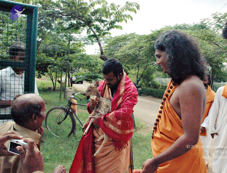 File:20061127 Photo 12 1p8nfvC4Rn2JeExDwKONlLHLXBhJ7Ou6U.jpg