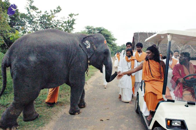 20061127 Photo 1 1RQz8fiS8h-oc8uK G907f9IMa2wUeT4H.jpg