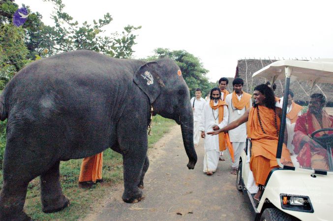 20061127 Photo 2 1aJbGcRbgWr42S4bWwHZ-GusEyv4NO- Q.jpg