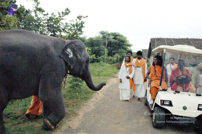 20061127 Photo 4 1FybufR6bJNivkyidjhxayxNafTHuxAhe.jpg