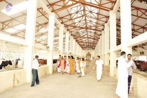 20061127 Photo 91 1yPSdaTApHOzrwCtMZC1bLAWTUKVI2shf.jpg