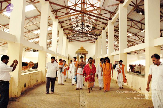 20061127 Photo 92 1imLsKI2pQ-KSZM-T9Zo0XyORGGDpvZDJ.jpg