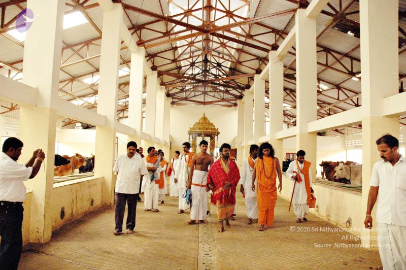 File:20061127 Photo 92 1imLsKI2pQ-KSZM-T9Zo0XyORGGDpvZDJ.jpg