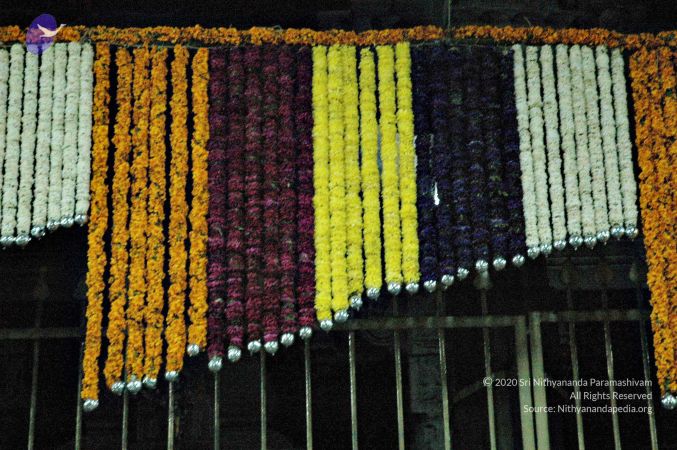 20061204 Photo 1026 18AdJ VozvU4WrZ9rB1l037OSlMmDBfCe.jpg