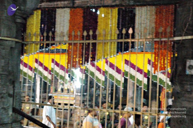 20061204 Photo 1065 1dEVMP5JKDgQi1-jeXVF8oWeGqRTRwWDG.jpg