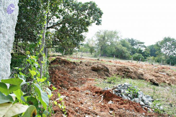 20061204 Photo 208 1ugqGV6A57BYL3Zixrj5P0NHoi5PyjKxs.jpg