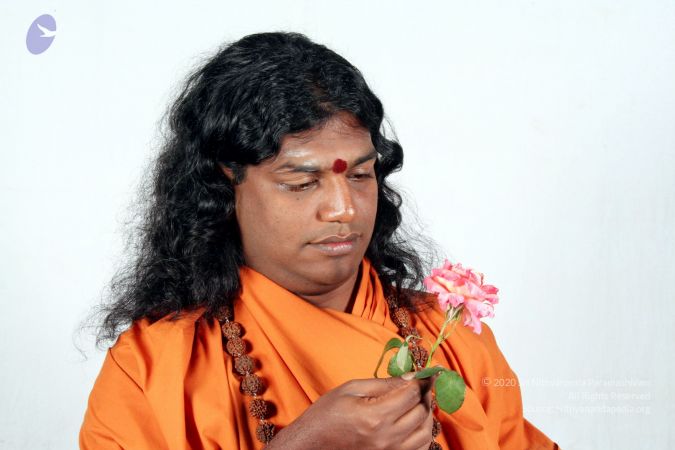 20061208 IMG 3889 CMP WM 0011.jpg