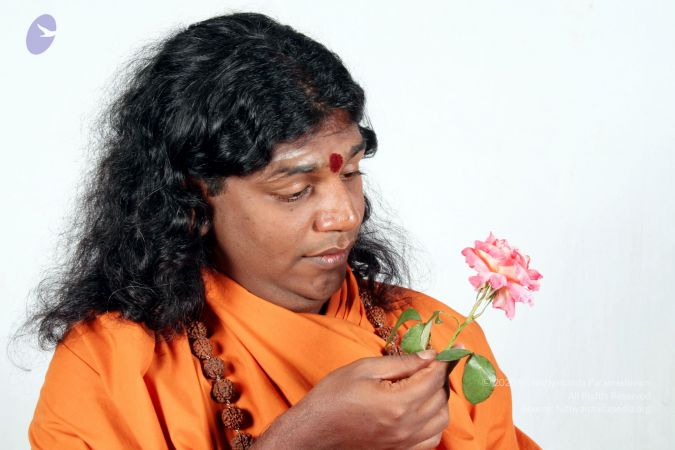 20061208 IMG 3890 CMP WM 0011.jpg