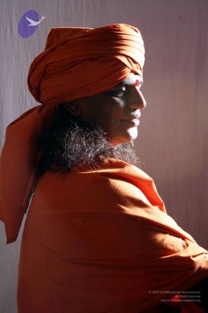 20061208 IMG 4225 CMP WM 0011.jpg