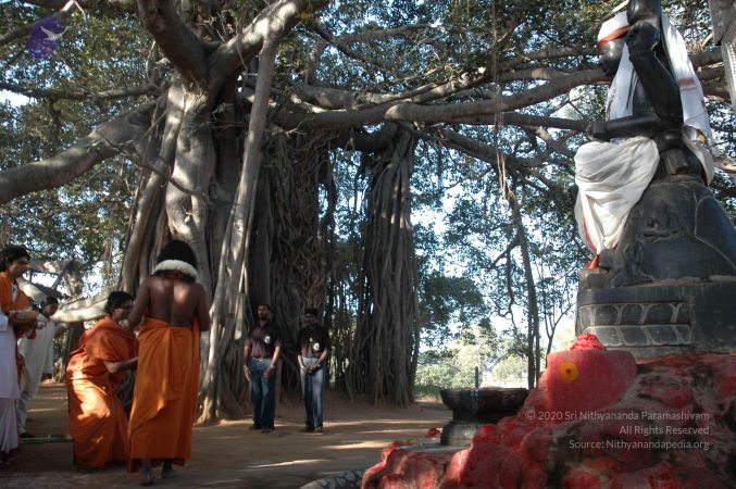 20061225 Photo 1467 1LOag5i0fC7rwIilEbpq2kIX17S9kuuEq.JPG