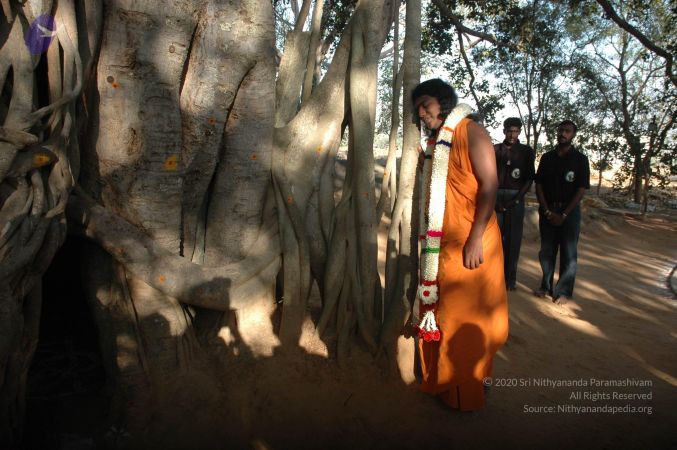 20061225 Photo 1470 1ywSa-ZeI1H-TlCFyxoOR1iIdNZkKrAmz.JPG