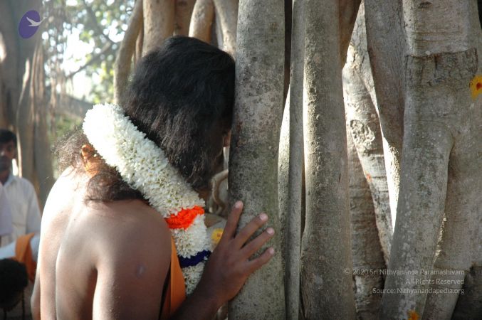 20061225 Photo 1479 1fQVve1 lFLdbiYA6uBk7d8VxaQoKv41Y.JPG