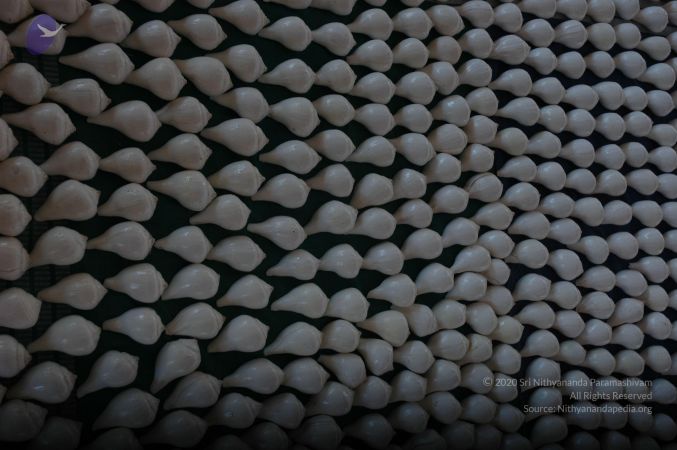 20061229 DSC 5873 CMP WM.jpg