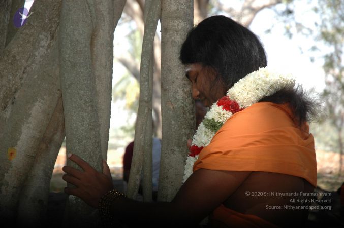 20061230 Photo 1253 1wEZ6CGoUupOGwFDejaPt1ykN4uwq9hre.JPG