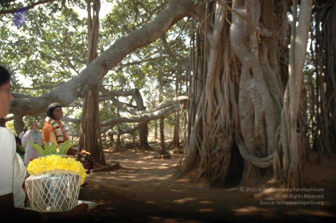 20061230 Photo 1259 1xpLJbFLAnTTl-SYVb9rP4SPRUEoIEHpB.JPG