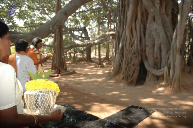 20061230 Photo 1260 1MO aniAzj-4O62AHnVVTEh-zJ-hGfEV6.JPG