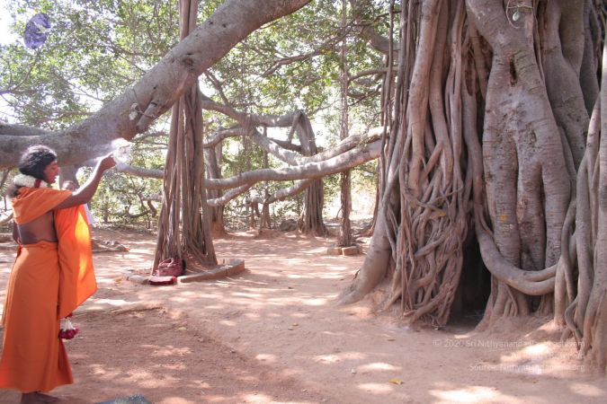 20061230 Photo 1317 1Eu5wIQY8uIFX6dYh7pznonFK BWwvA0M.JPG