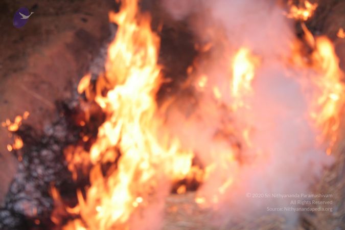 20061230 Photo 1589 1gdwn8811qZziCux5BYZj3TWDwVwagTk .JPG