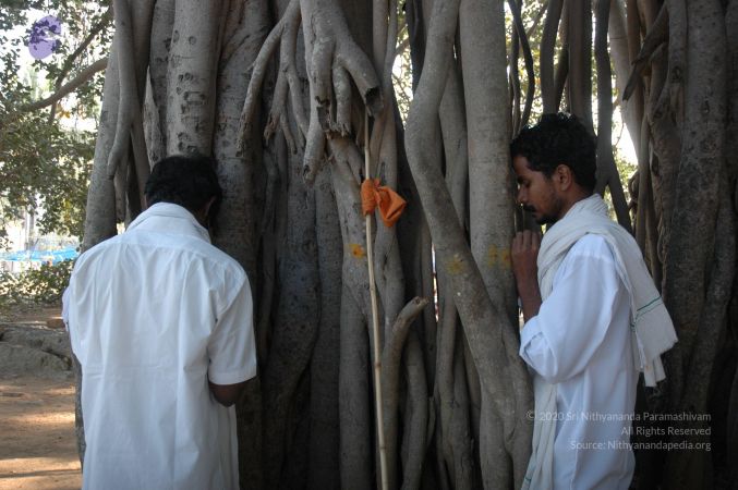 20061231 Photo 1411 1cweG9NHjzhQ-ctJWIWUBUNjAi5lgiiiQ.JPG