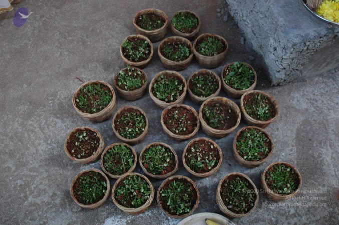 20061231 Photo 1714 1Ntivurjzep Zz9 xGnld3BSWlzmYVzrT.JPG