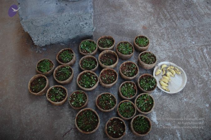 20061231 Photo 1715 1keew9pijPdOPXJRZa1NICxiMtUCydOCM.JPG