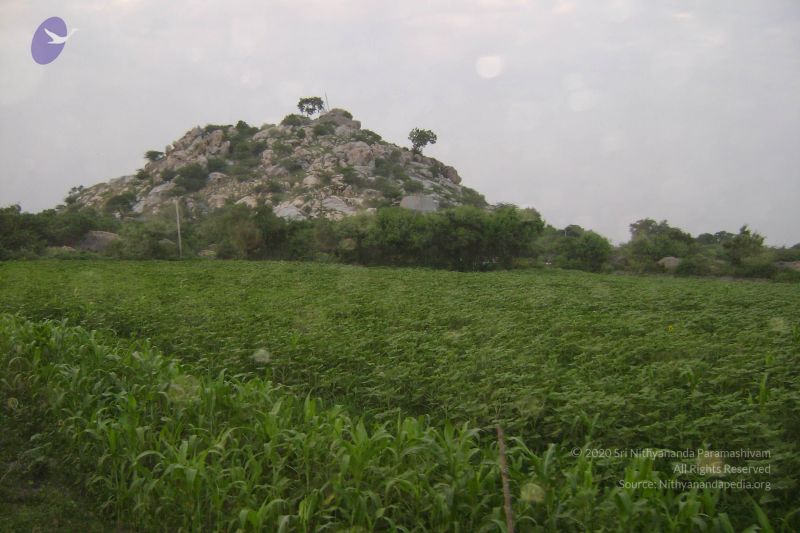 File:2006 DSC01433 CMP WM.jpg